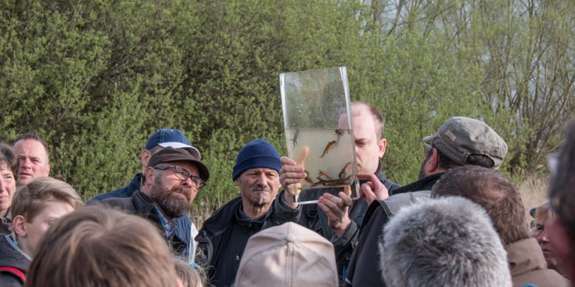 Algemene werking_Natuureducatie in de Bonte Os_2016_Nik Dooms