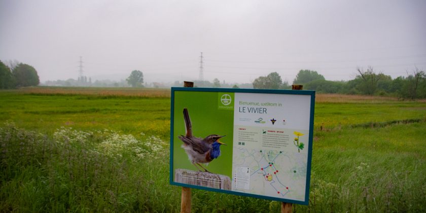 Le Vivier_Tom en Lien Natuurfotografie