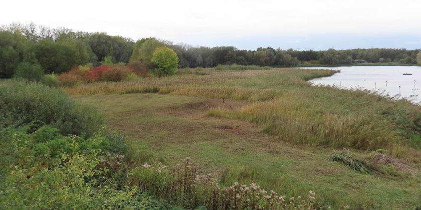 Natuurreservaat De Gavers_Yann Feryn