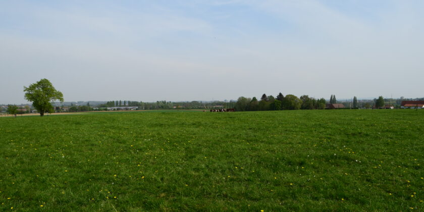 Afb1_Zicht op Scheldevallei