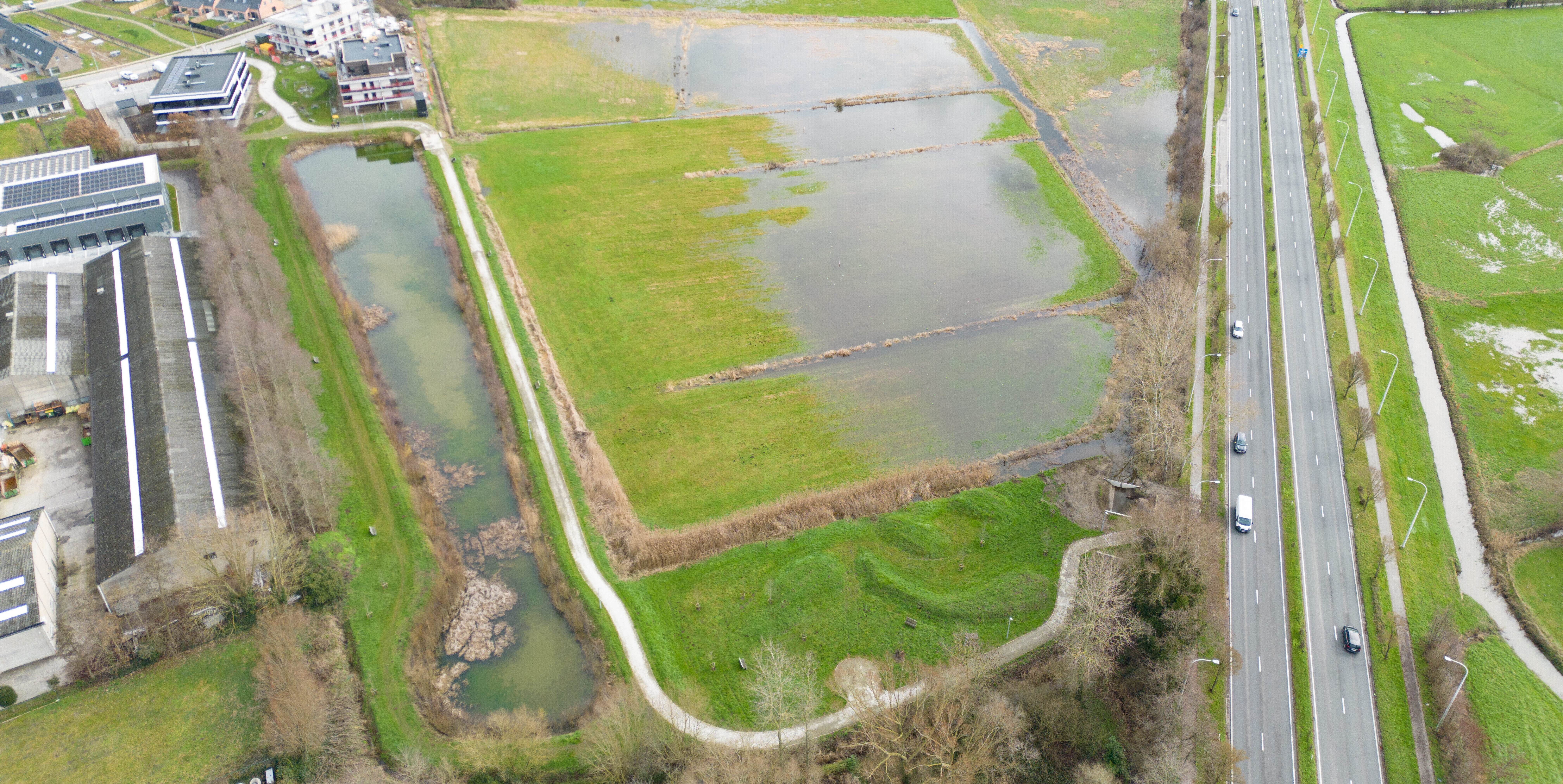 Kleine Gavers na overstroming_Sam Callewaert