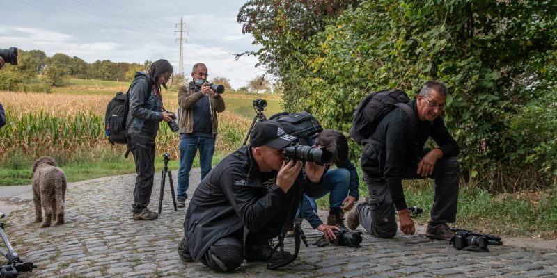 41. Natuurfotografie2