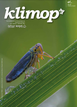 Coverfoto Coverfoto
